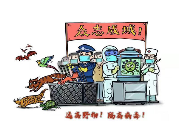 《远离野物、隔离病毒，众志成城，护我中华》作者：苏庆、苏昊麟（山东济南）.jpg